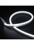 Neon LED Beyaz 5 Metre 5