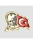 Ds-Derin Ay Yıldız Atatürk Yaka Rozet-Sarı 3