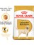 Labrador Retriever Adult Yetişkin Köpek Maması 12 Kg 10