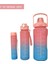 Pembe, 3’lü Set - Sticker’lı Pipetli Matara Seti - 2000ML,900ML,300ML 1