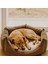 Boncuk Elyaf Dolgulu, Yıkanabilir Kedi Köpek Yatağı 4