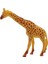 Vahşi Hayvanlar Serisi - YS2689 - Zürafa (Lisinya) 1