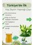 Yaş Zeytin Yaprağı Çayı | Köyceğiz'den %100 Doğal Detox Bitki Çayı • Güçlü Antioksidan 1