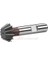 Zps-Fn Kırlangıç Freze 20MM 60° Dın 1833 B Form 1