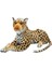 Buğz S00001399 Peluş Leopar Yatan 90 cm -Sun 2
