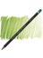 Procolour Kuru Boya Kalemi 50 Moss Green 1