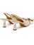 Kadın Topuklu/ Stiletto 3063041 Nacree Naplack Burro 5