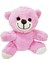 Sevimli Peluş Pembe Ayıcık 1