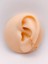 Cerrrahi Çelik Piercing ( Pirsing ) Yıldızlı Anti Tragus Piercing (1ADET) 1