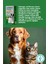 Fjomega Kedi ve Köpek Somon Yağı 2