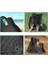 Bmw X1 2009-2010-2011-2012-2013-2014-2015 4d Carbon Desen Premıum Paspas 4