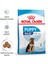 Maxi Puppy Büyük Irk Yavru Köpek Maması 15 Kg. 9