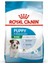 Mini Puppy Yavru Kuru Köpek Maması 2 Kg 10