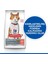 SP Somon Kısırlaştırılmış Yetişkin Kedi Maması 8+2 Kg. 3