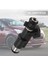 Peugeot Için Yeni Yakıt Enjektörü 206 307 406 407 607 806 807 Uzman Citroen 2.0 01F003A, 1984E2, 75116328, 0280156328 (Yurt Dışından) 5
