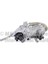 Pıerburg 701881090 - Egr Valfı Sag 306DT Dıscovery 4 L319 Dıscovery 5 L462 Range Rover 4 Vogue L405 Range Rover Sport I L320 Range Rover Sport 2 L494 Jaguar Xj X351 1