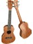 Concert Ukulele Maun Ağacı Pk 200 Ukulele Seti 1