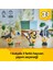 LEGO Creator 3'ü 1 Arada Vahşi Hayvanlar: Tropikal Tukan Kuşu 31173-7 Yaş ve Üzeri Doğa ve Hayvan Tutkunu Çocuklar Için Kelebek ve Balık Olarak Inşa Edilebilen Yaratıcı Oyuncak Yapım Seti (225 Pr) 4