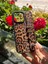 iPhone (14 Pro) Uyumlu Kişiselleştirilebilir Charmlı Kılıf 1