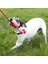 Dental Diş Temizliği Sağlayan Ip Sallantılı Köpek Çiğneme Oyuncağı S 1