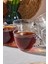 Boncukbağı 6'lı 200ml Cam Çay Fincanı- 14872 2