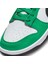 Dunk Low Erkek Yeşil Sneaker Ayakkabı FN3612-300 7