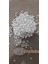 Ispir Fasulye (Şeker Fasulye) 5 kg 1