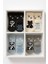 Organik Pamuk Unisex 4'lü Kutulu / Premium / Kaydırmaz Tabanlı / Panda Desenli / Havlu Çocuk Çorabı 1
