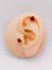 Cerrrahi Çelik Piercing ( Pirsing ) Marka Model Bordo Yonca Tragus Helix Piercing (1ADET) 1