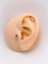 Cerrrahi Çelik Piercing ( Pirsing ) Ruj Figürlü Tragus Helix Piercing (1ADET) 1