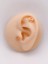 Cerrrahi Çelik Piercing ( Pirsing ) Zirkon Baby Yazılı Tragus Helix Piercing (1ADET) 1