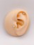 Cerrrahi Çelik Piercing ( Pirsing ) Marka Yonca Figürlü Tragus Helix Piercing (1ADET) 1