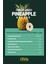 Freeze Dried Ince Dilim Ananas- Dondurularak Kurutulmuş Meyve-Freeze Dry Kuru MEYVE 20GR 5