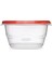 Takealongs Derin Kare Saklama Kabı 5.3 Cup (1,25 L) – 2’li Set, Bpa’sız, Mikrodalga ve Bulaşık Makinesi Uyumlu, Kırmızı Kapaklı 1
