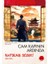 Cam Kapının Ardında Natsume Soseki - Japon Klasikleri 1