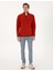 Erkek Kiremit Regular Fit Yarım Fermuarlı Polar Sweatshirt 50314056-VR040 4