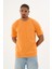Erkek %100 Organik Pamuklu Yumuşak Dokulu Comfort Fit Bisiklet Yakalı T-Shirt E222 3