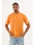Erkek %100 Organik Pamuklu Yumuşak Dokulu Comfort Fit Bisiklet Yakalı T-Shirt E222 6