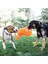 Tuggz Maymun Köpek Oyuncağı, Xl 2