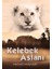 Kelebek Aslanı 1