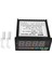 Mypin Dijital Sensör Metre Çok Fonksiyonlu Akıllı LED Ekran 0-75MV/4-20MA/0-10V 2 Röle Alarm Çıkışı Da8-Rrb (Yurt Dışından) 2