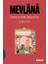 Mevlana - Franklin D. Lewis 1