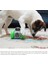 Kedi ve Köpek Için Tumbler Tipi Mekanik ve Interaktif Ödül Robotu 3