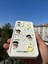 Apple iPhone 13-14 Kılıf Çıkartmalı Desenli Kamera Korumalı Kılıf 2
