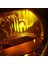 Carub Diadem Ampul Krom Amber Park Ampulü T10 WY5W 12V Turuncu Işık Colormatik 2'li Takım 7