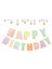 Çok Renkli Pastel Happy Birthday Banner 4