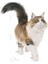 Instinctive Yaş Kedi Maması 85g 11