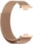 Fit3 / Fit4 / Fit4 Pro Milanese Metal Hasır Kordon Siyah 1