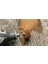 Max SC511DM Ez SPEEDCLIC:180 ve 280 Kumlu Boya Aşındırıcı Cila 30MM Zımparalama Diskleri 3