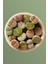 Lithops Ssp 1